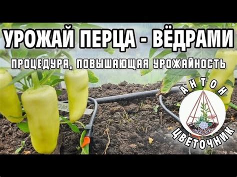 Простая и быстрая процедура подключения