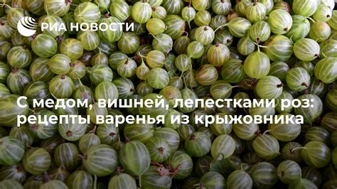 Простые рецепты варки крыжовника