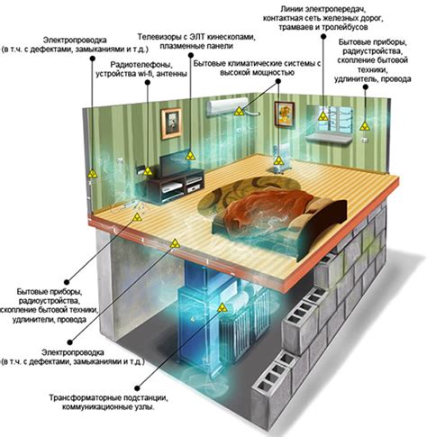 Простые способы использования кактуса для защиты от излучения