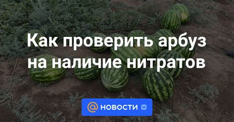 Простые способы проверки арбуза на наличие нитратов