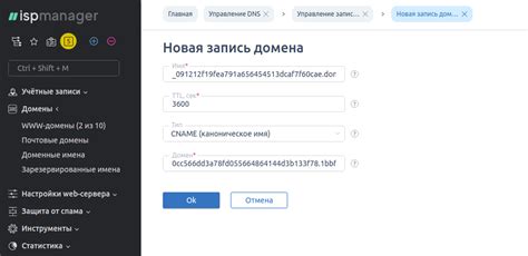 Простые способы проверки сертификата Туту