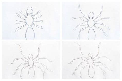 Простые шаги для создания рисунка паука