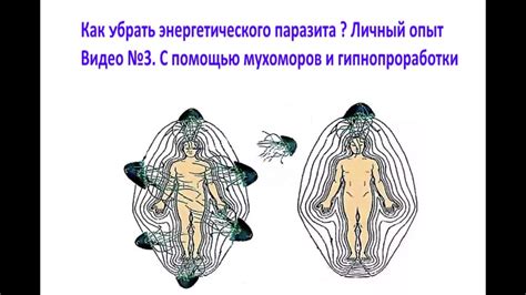 Профессиональная помощь при избавлении от астрального паразита