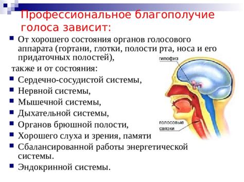 Профессиональное использование голоса и его особенности