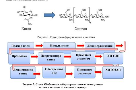 Профессиональное удаление хитина