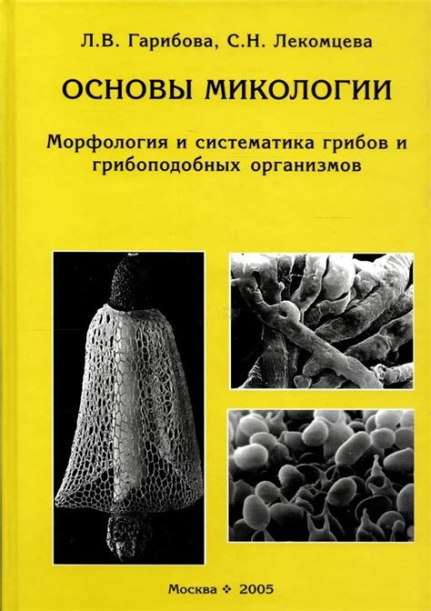 Профессиональные области в микологии