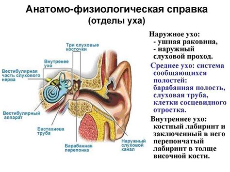 Профилактика заложенности в ушах