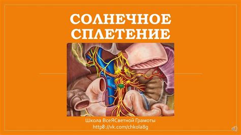 Профилактика и предотвращение ударов в солнечное сплетение