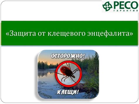 Профилактика клещевого энцефалита: защита от болезни начинается с прививки