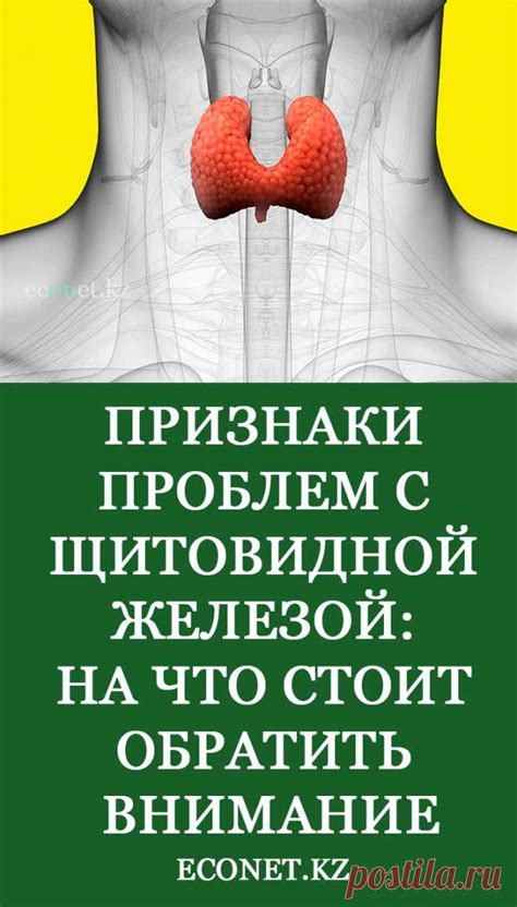 Профилактика повышенного давления при проблемах со щитовидной железой