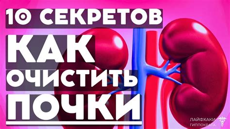 Профилактика почечных кист: советы для здоровья почек