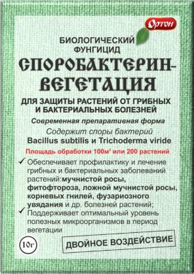 Профилактическая обработка от грибных заболеваний