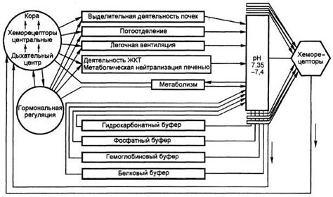 Профилактические меры для поддержания оптимального рН крови