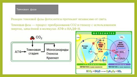 Процессы преобразования CO2