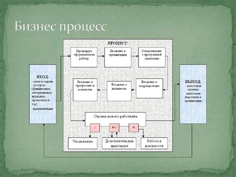 Процесс адаптации и ухода за выдрой в квартирных условиях