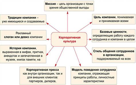 Процесс адаптации нового котенка