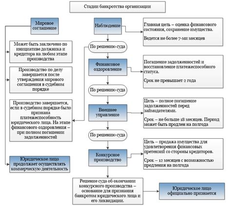 Процесс банкротства учредителя ООО: этапы и сроки