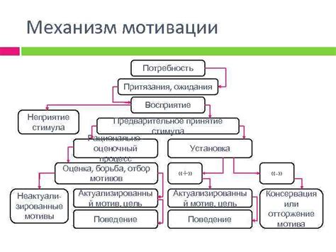 Процесс дезактивации стимула