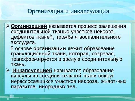 Процесс диагенеза и замещения: