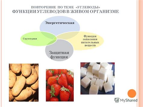 Процесс изготовления: роль в образовании углеводов