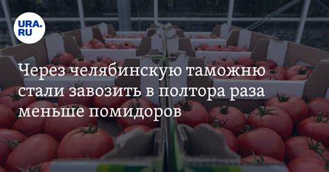 Процесс импорта и экспорта через Гуковскую таможню