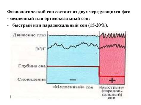 Процесс кимографии