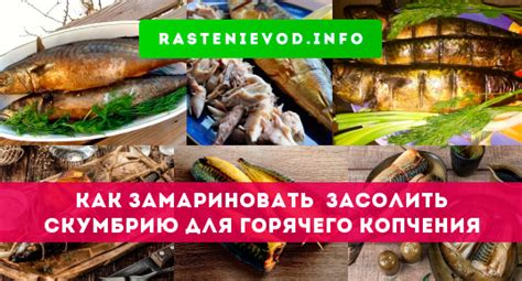 Процесс маринования хека для горячего копчения