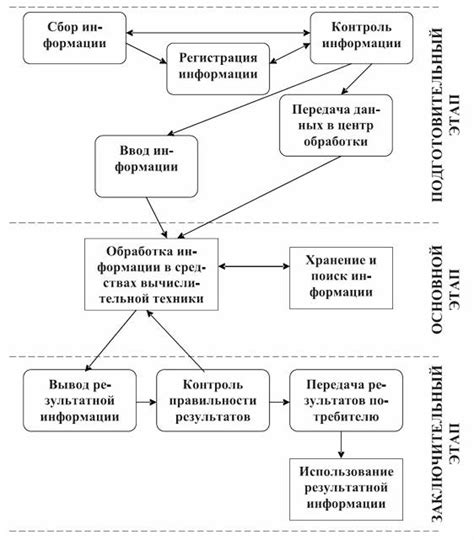 Процесс обработки информации в глазном центре диноса