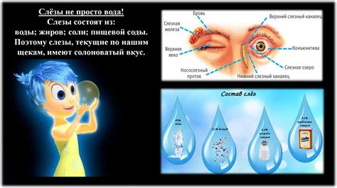 Процесс образования слёз