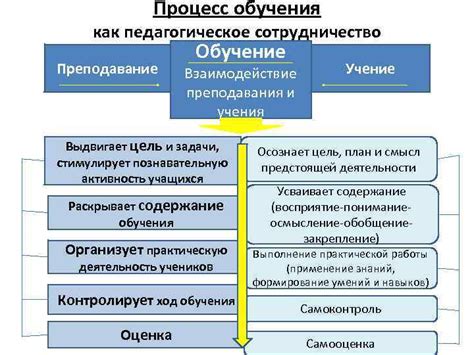 Процесс обучения и практика