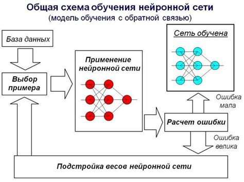 Процесс обучения нейросети