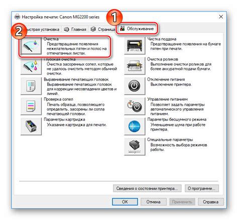 Процесс очистки принтера Canon