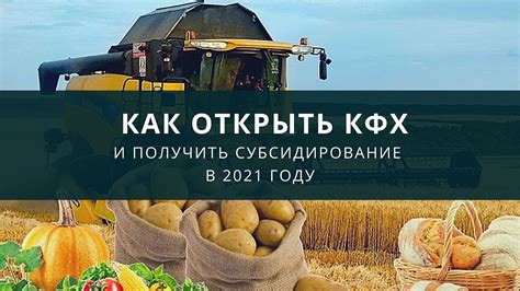 Процесс преобразования КФХ в колхоз: полезные советы и рекомендации