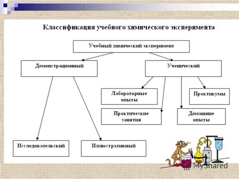 Процесс проведения эксперимента