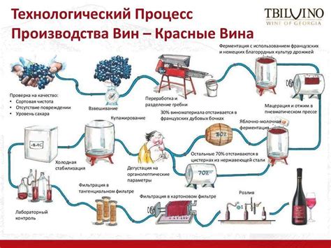 Процесс производства вина