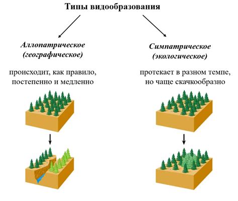 Процесс разделения грунта