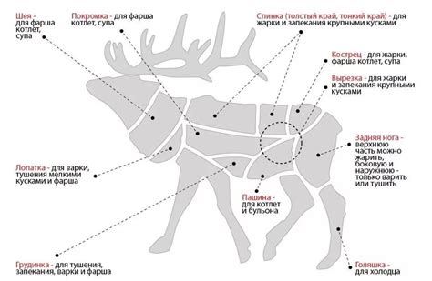 Процесс разделки лося