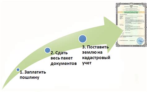 Процесс регистрации собственности