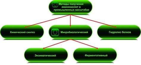 Процесс ферментации для получения аминокислот