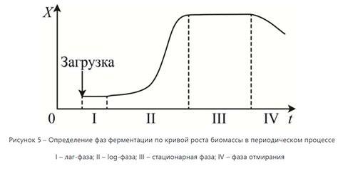 Процесс ферментации молока при приготовлении мацони