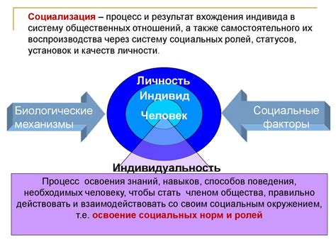 Процесс формирования индивида и личности