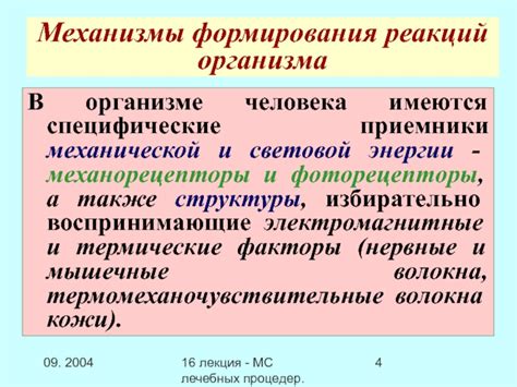 Процесс формирования организма