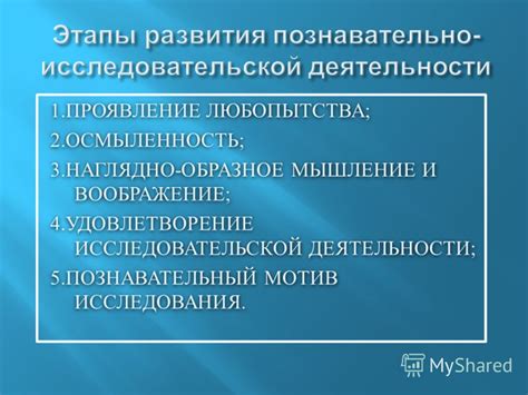 Проявление любопытства и исследовательского поведения