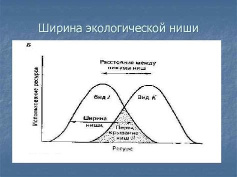 Проявление принципа экологической ниши