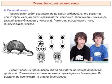 Проявления во время размножения