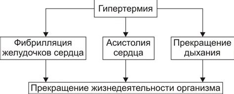 Проявления гипертермии у человека