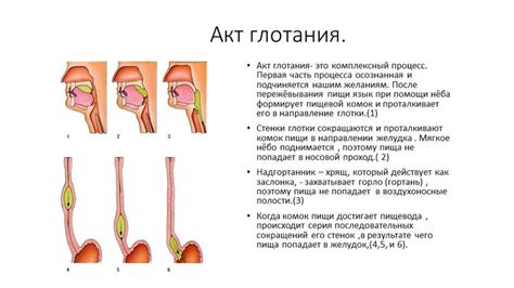 Психологические аспекты сна и глотания слюны у детей