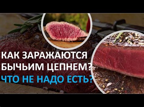 Психологические методы борьбы с бычьим цепнем