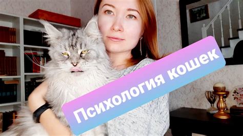 Психологические особенности кошек, способствующие уносу котят