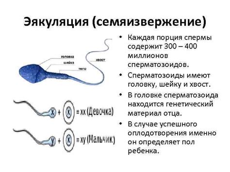 Психологические причины отсутствия эякуляции